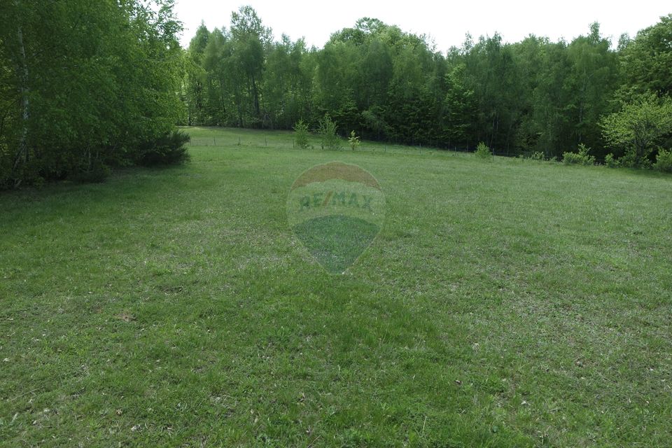 TEREN DE VÂNZARE ÎN PRELUCA NOUA