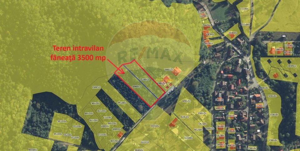 Teren intravilan, 3500 mp, Dâmbu Morii