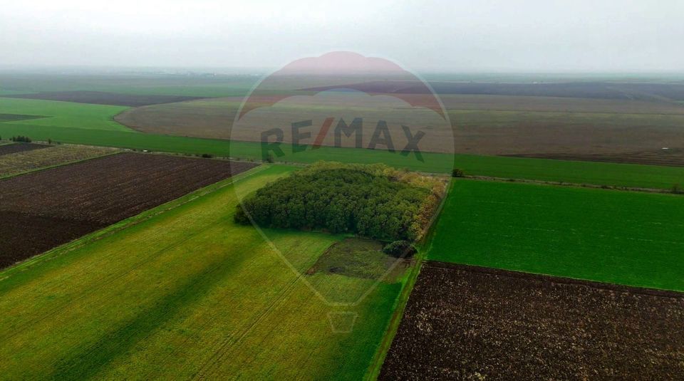 430,000sq.m Special Property for sale