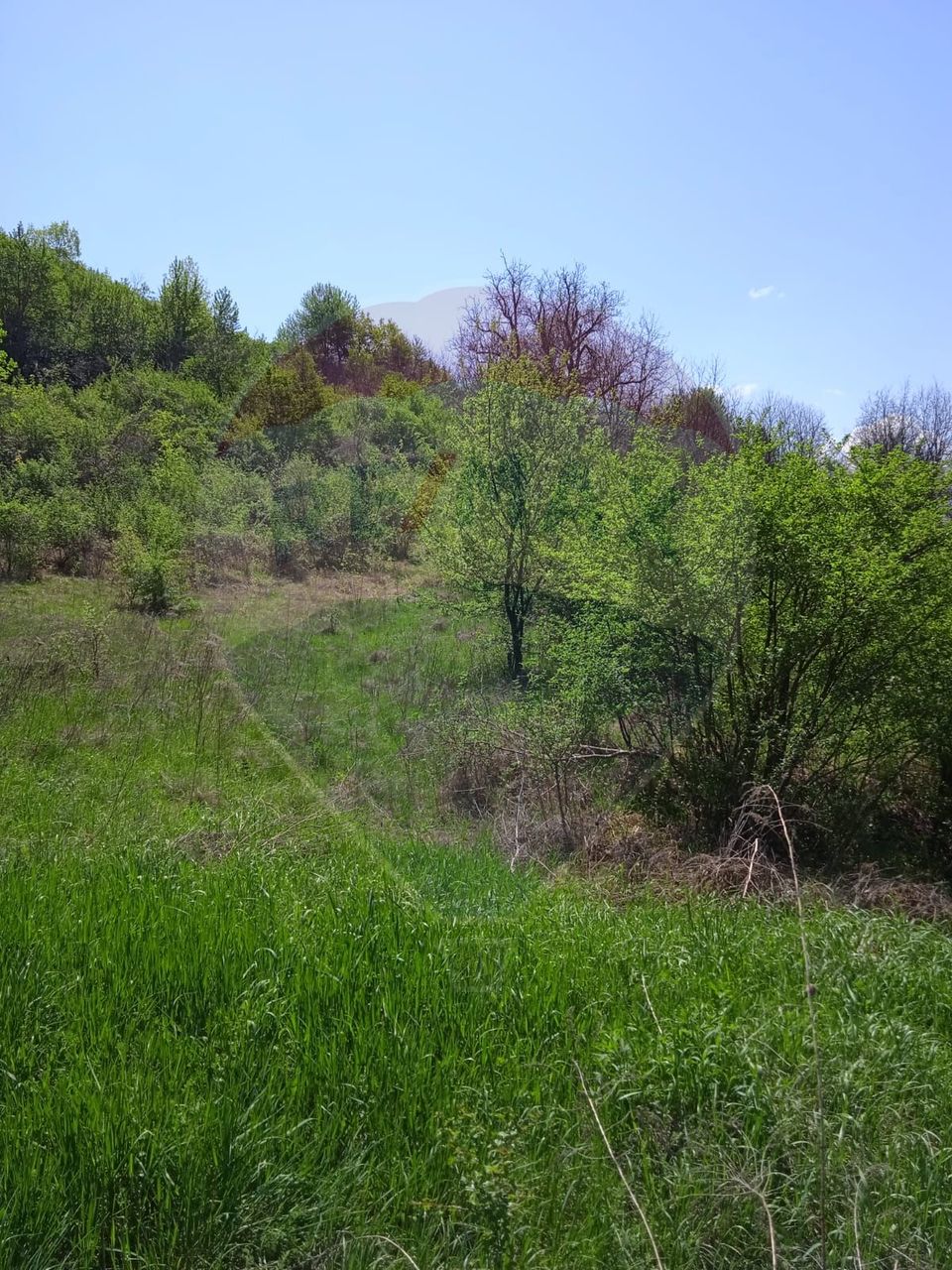 Land 800sqm Medias / Strada Baznei