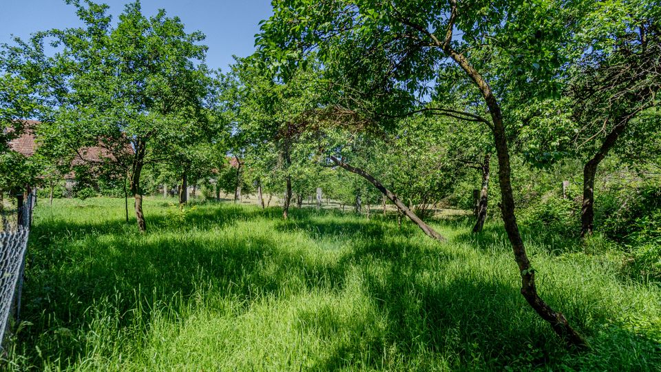 4 room House / Villa for sale