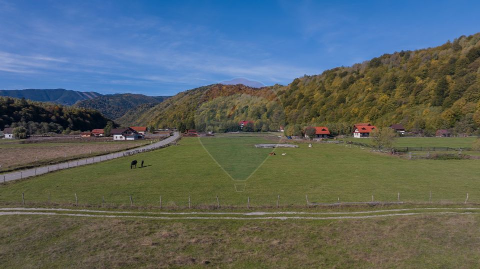 Teren 3.997 mp, priveliște superbă Plaiul Foii, 0% comision