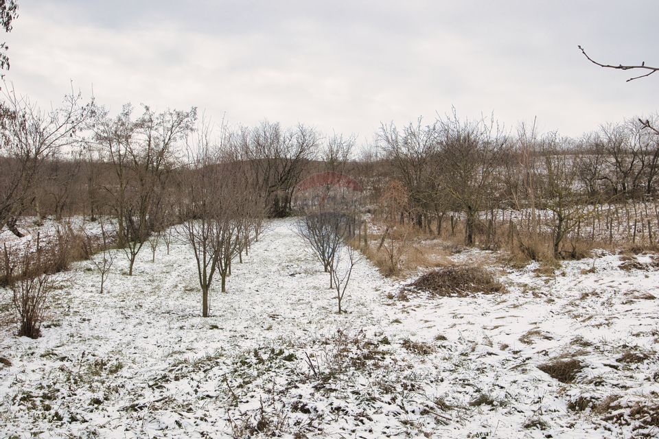 Casă  cu 3 camere de vânzare