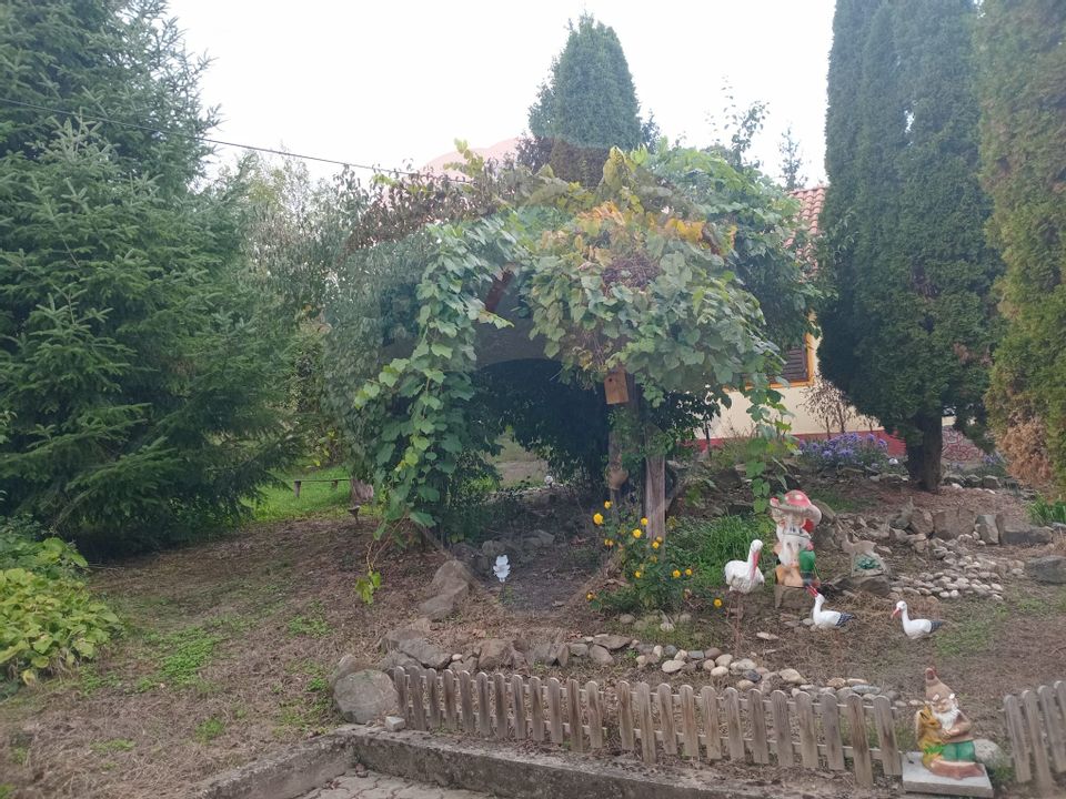 OCAZIE!!! CASA SUPERBA cu teren in JULITA jud Arad in M tii Zarandului