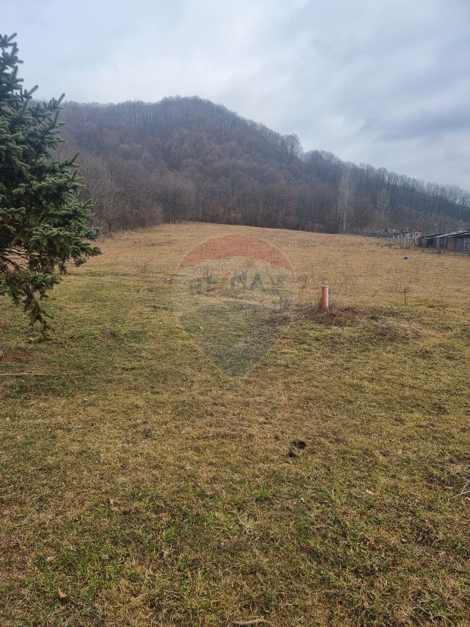 Land 10,000sqm Varfuri / None