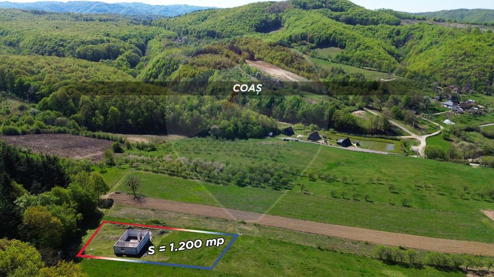 3 room House / Villa for sale