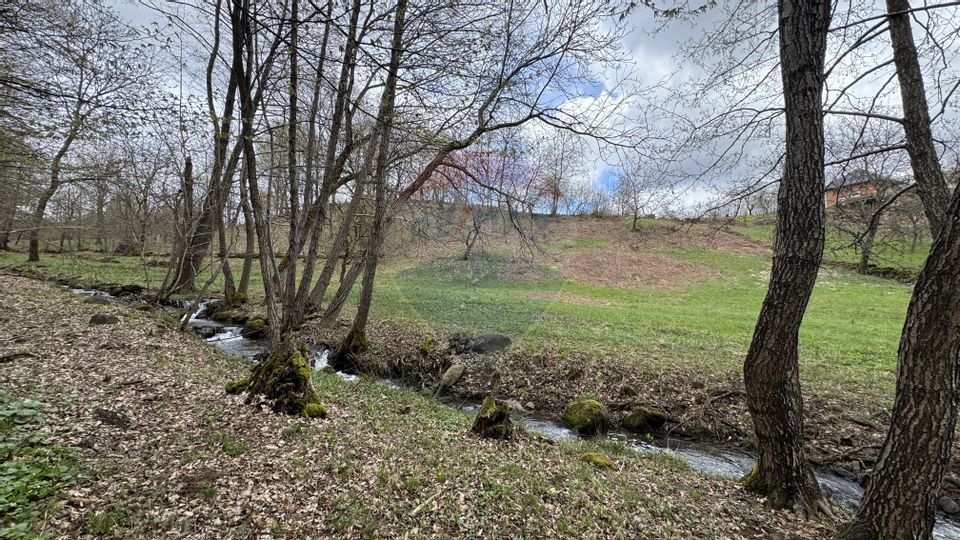 Teren de vanzare ideal pentru CABANA-cu un pârau ce traveseazǎ terenul