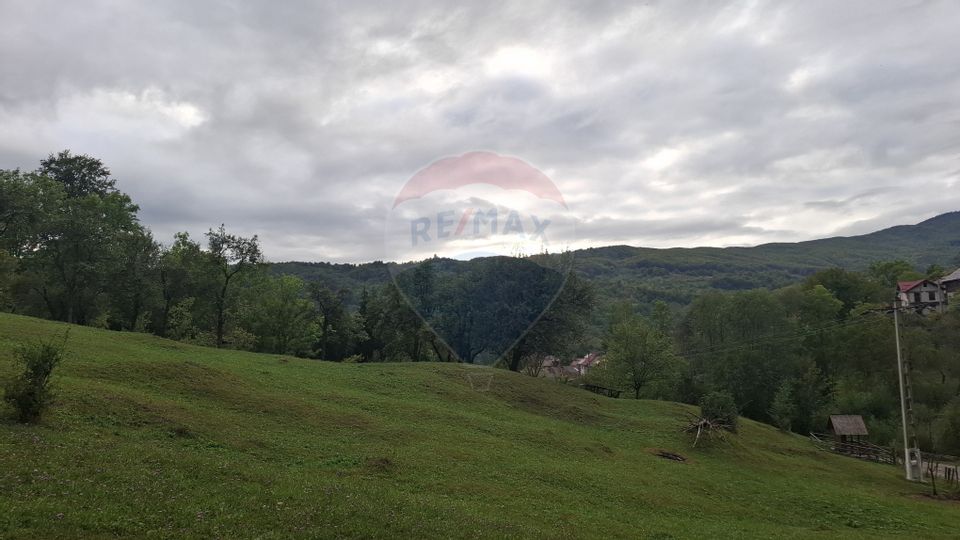 Teren cu priveliste spectaculoasa, 4000mp, la 18km de Sinaia