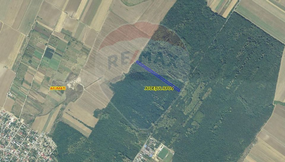 Teren 10,000mp Afumati | Padure | Soseaua Petrachioaia