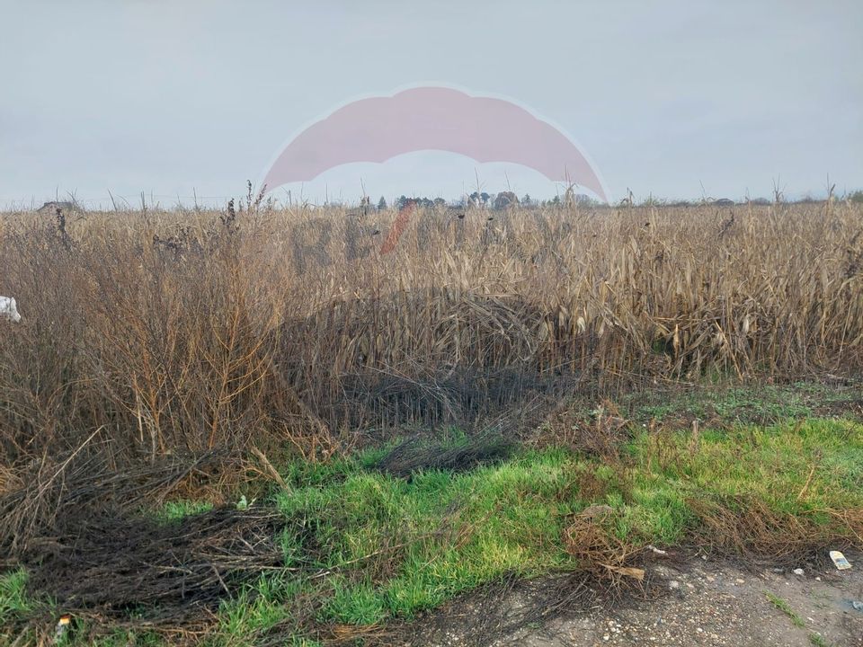 Teren intravilan de vanzare – Nicolae Balcescu, jud. Bacau