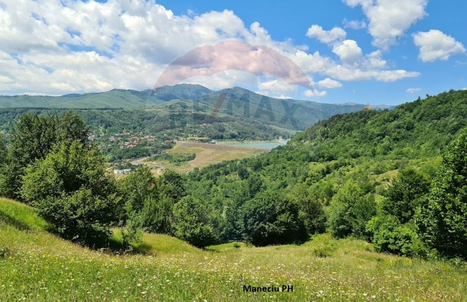 Vanzare Padure 2200 hectare în Romania