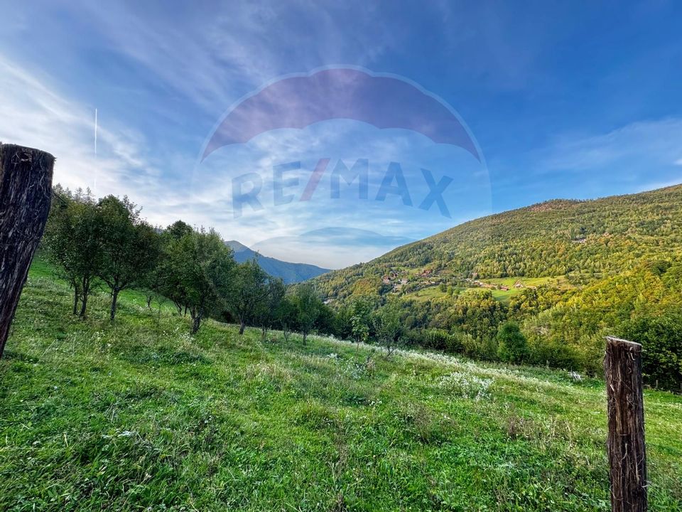 Teren 1812 mp de vânzare | Muntele Rece, cadru liniștit, Comision 0%