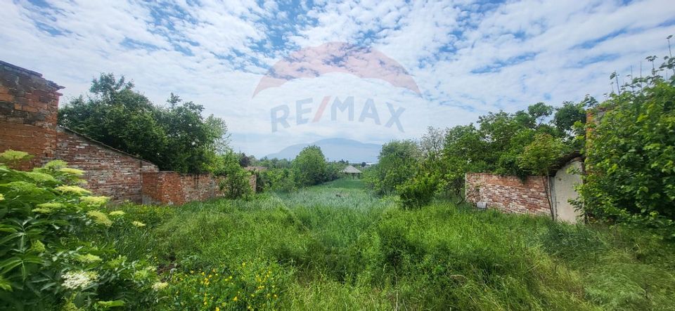 Teren Aradul Nou–2.311mp cu livadă și utilități, ideal pentru locuinte