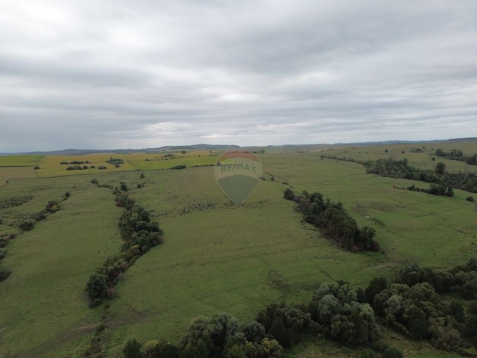 Teren de vanzare, 65 hectare - Agnita