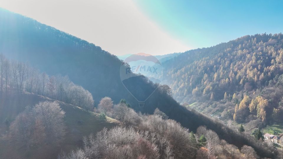Teren Colinar Panoramic – 17.684 mp în Scheii Brașovului