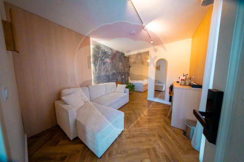 14 room Hotel / Pension for sale, Ultracentral area