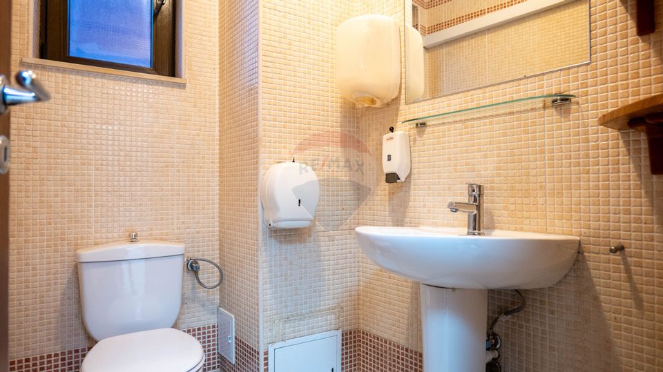 11 room House / Villa for sale, Doamna Ghica area