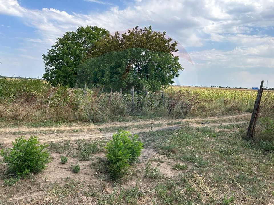 Land 1,224sqm Afumati / Soseaua Petrachioaia