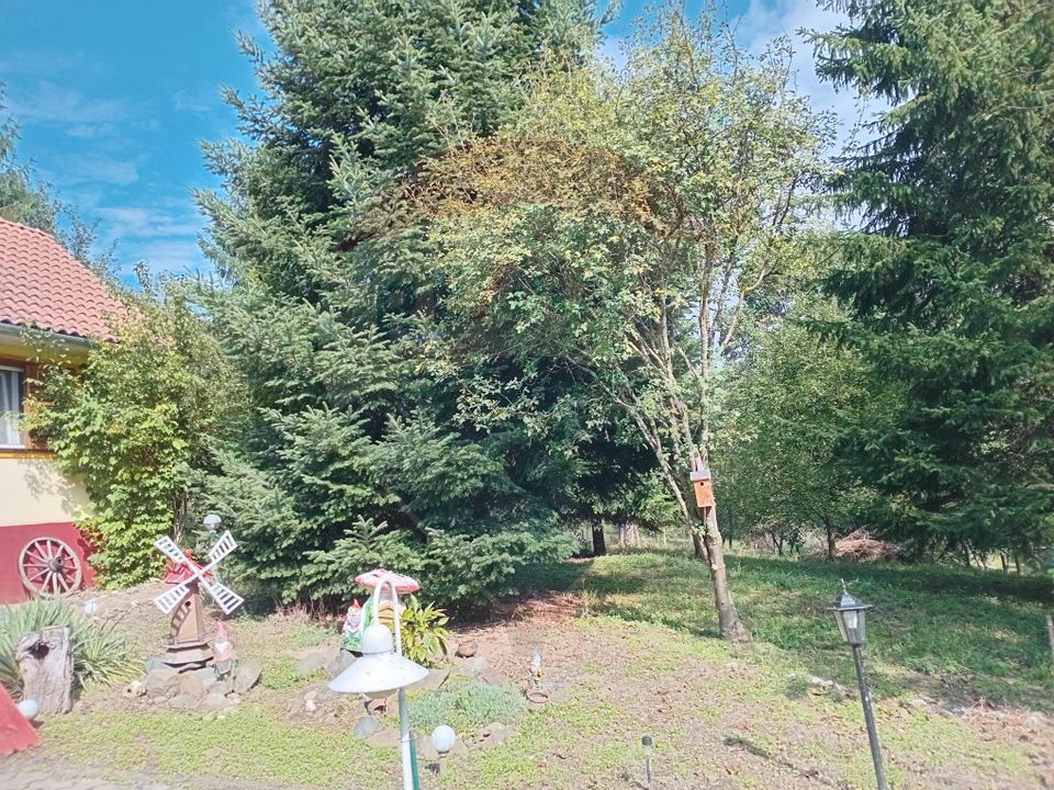 3 room House / Villa for sale