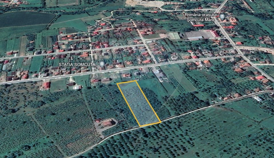 Land 6,793sqm Somcuta Mare / Strada Livezilor