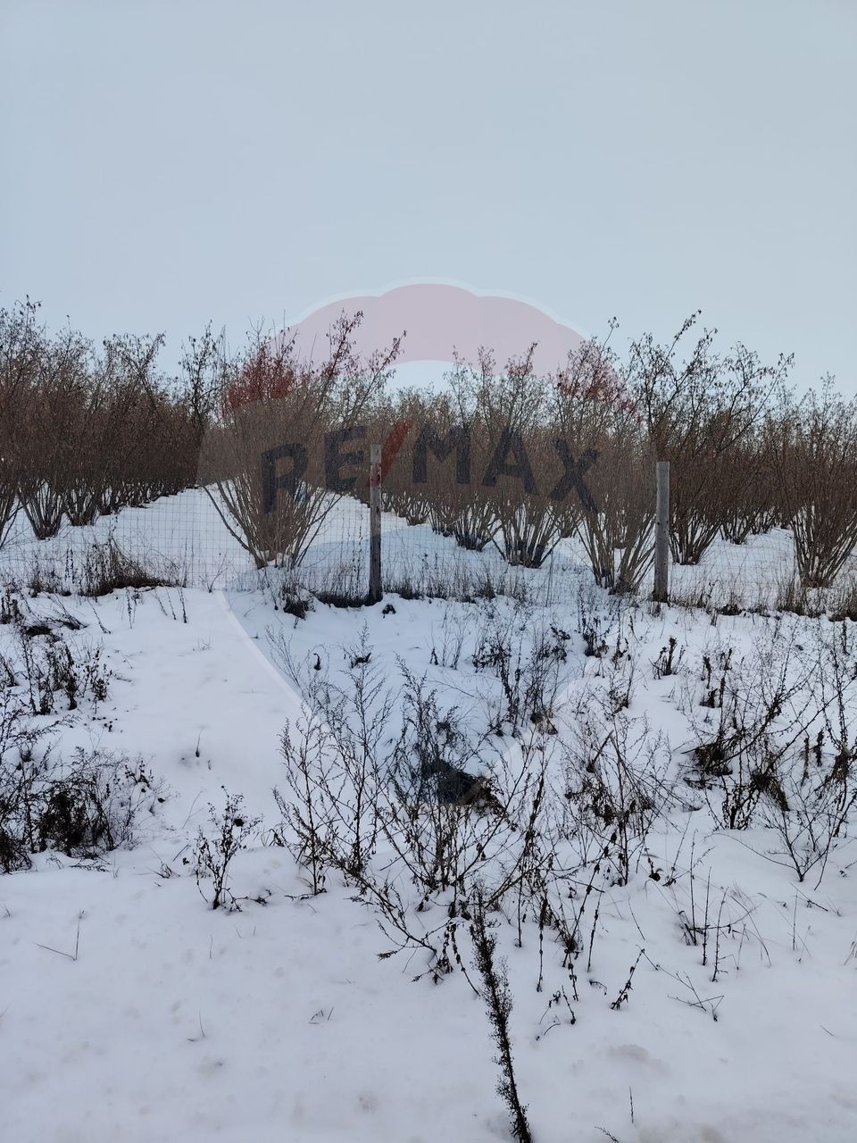 Land 2,273sqm Dorobanti / Strada FN