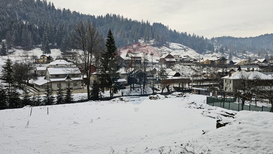 Teren in Bucovina, intravilan 3824 mp Deia-Frumosu, Suceava