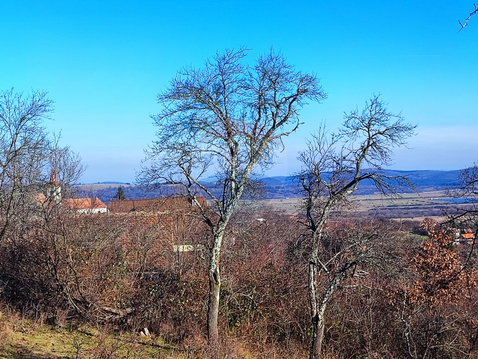 Land 637sqm Vale / Strada Dumitru suciu