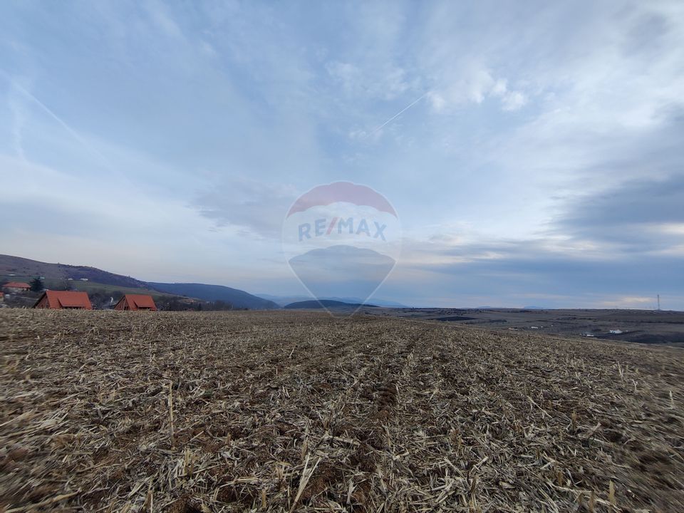 Land 3,000sqm Salicea / Soseaua Principala