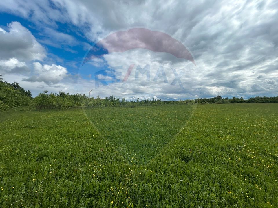 Teren 4,000mp Cicarlau / Strada Principala intravilan