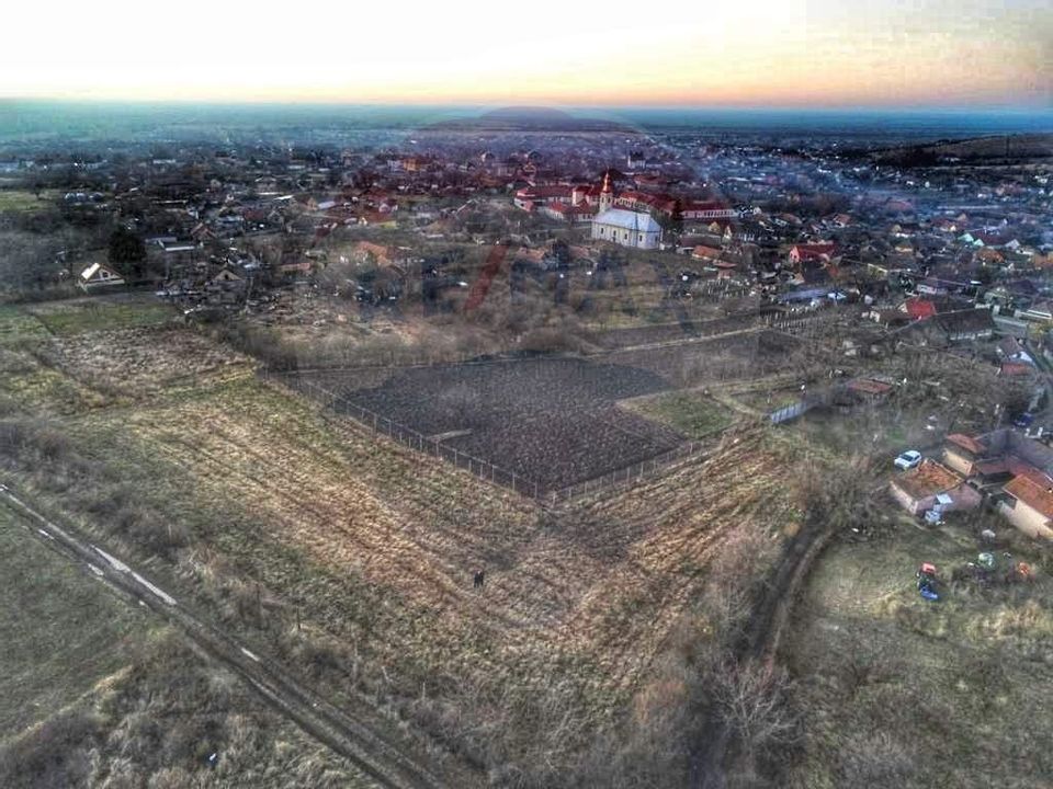 Teren de 1,200 mp cu potențial în Covăsânț, strada Liliacului