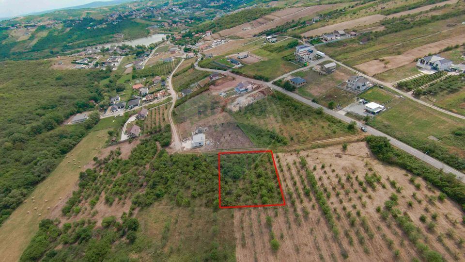 Teren intravilan 1,163mp de vânzare în Săldabagiu De Munte
