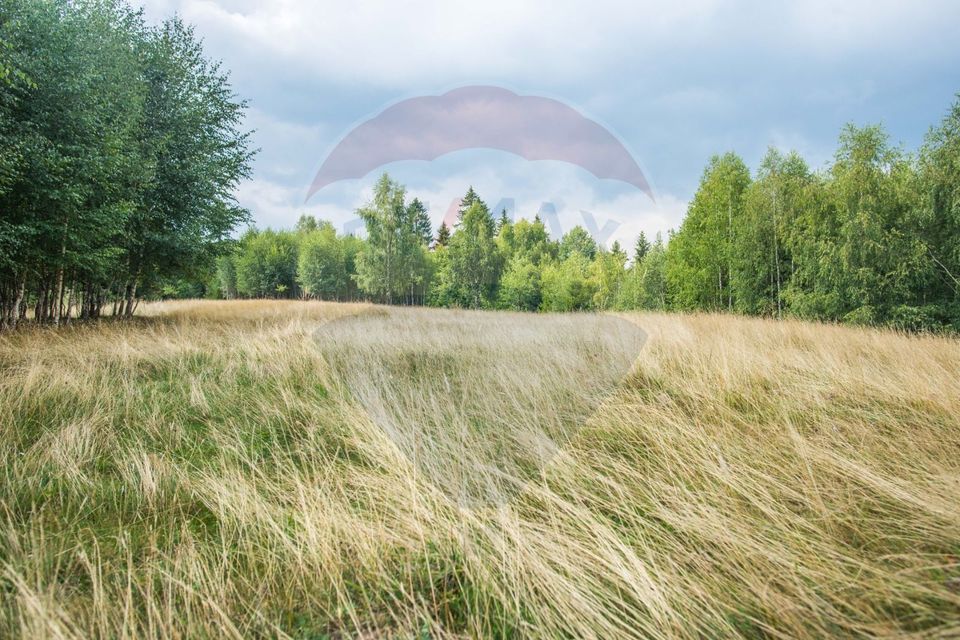 Teren extravilan Moieciu 45316mp