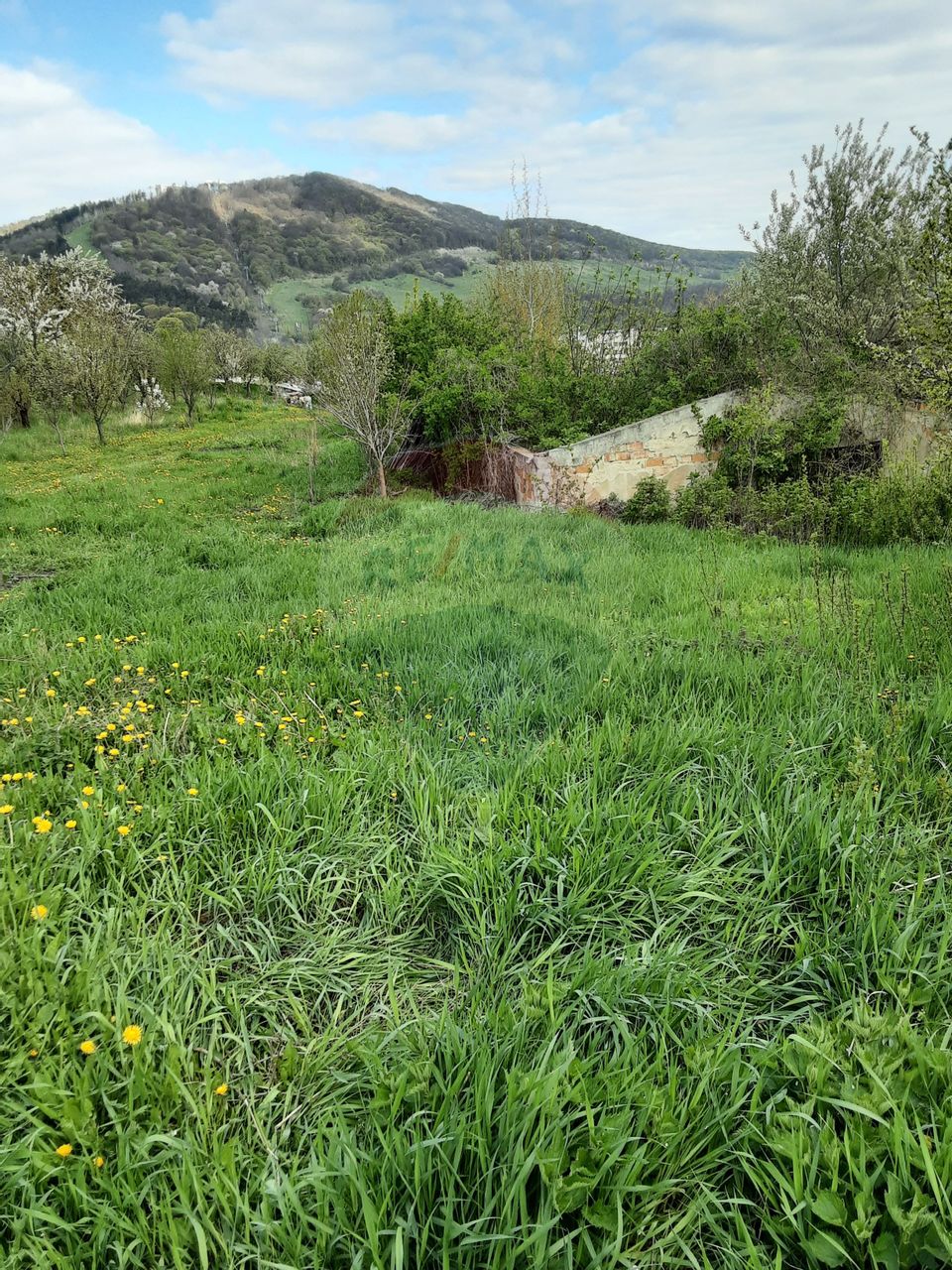 Teren 1,500mp Piatra-Neamt / Aleea Valea alba