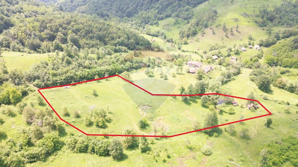 Teren intravilan de vis în Munții Apuseni, curent + izvor – 13.811 mp