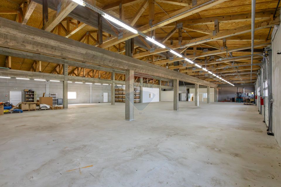 Hală 1.000 mp + curte 3.200 mp + CASĂ 160 mp BONUS | Acces TIR | Bacău