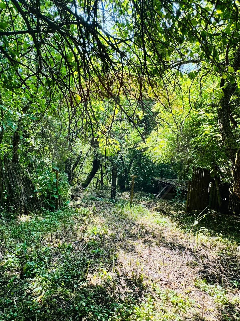 4 room House / Villa for sale, Vest area