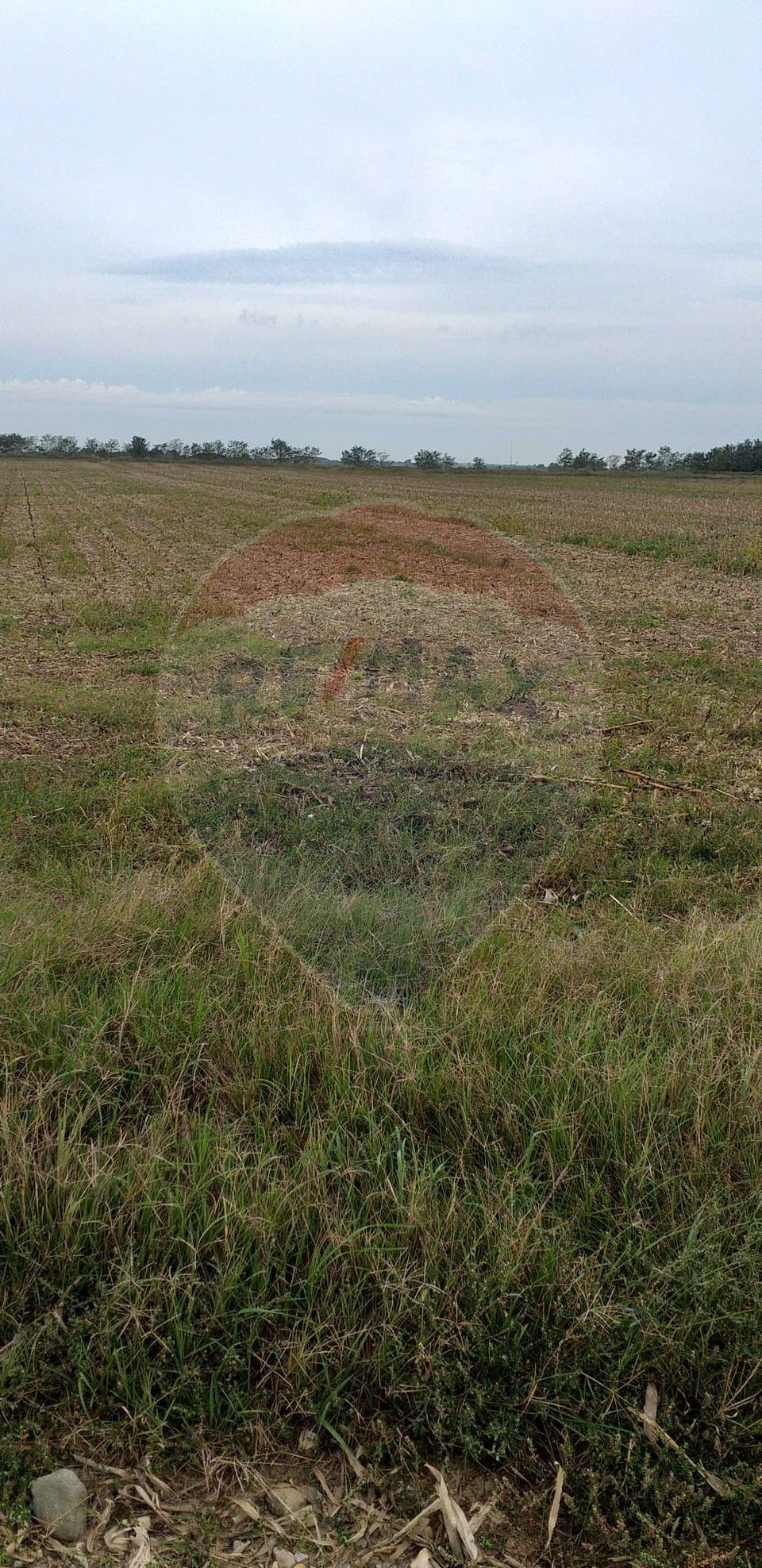 Teren extravilan 3000mp de vânzare la Sântion