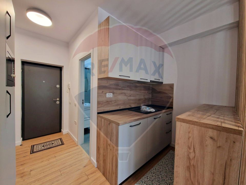 1 room Apartment for rent, Delfinariu area