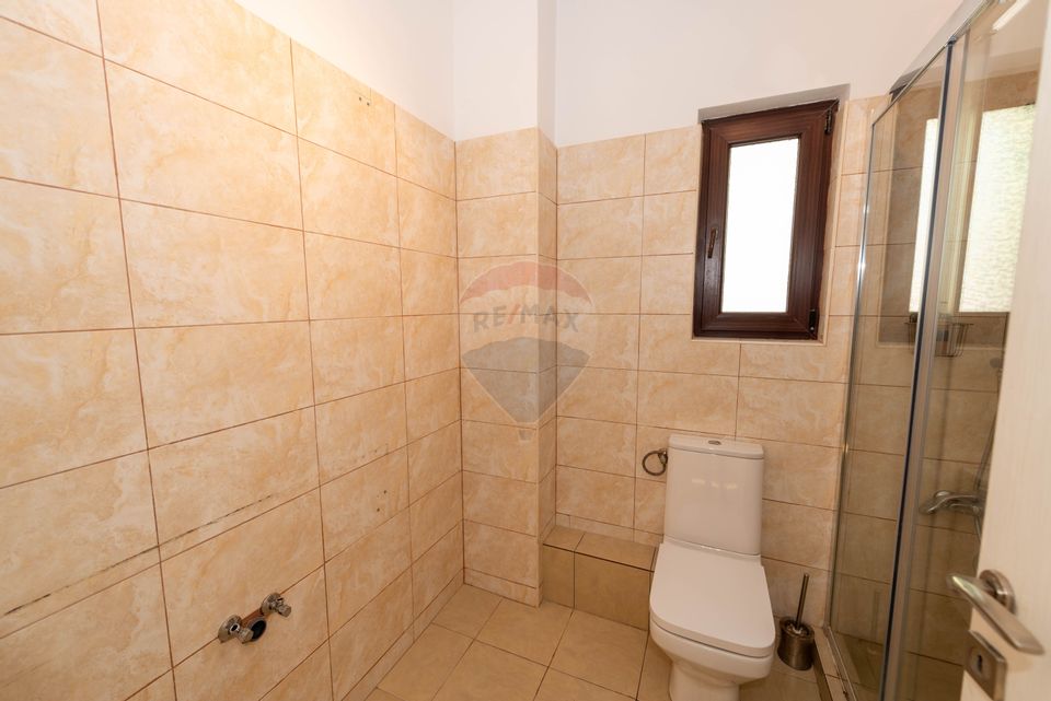 Special villa with 3 levels for sale Pantelimon - Cernica Forest