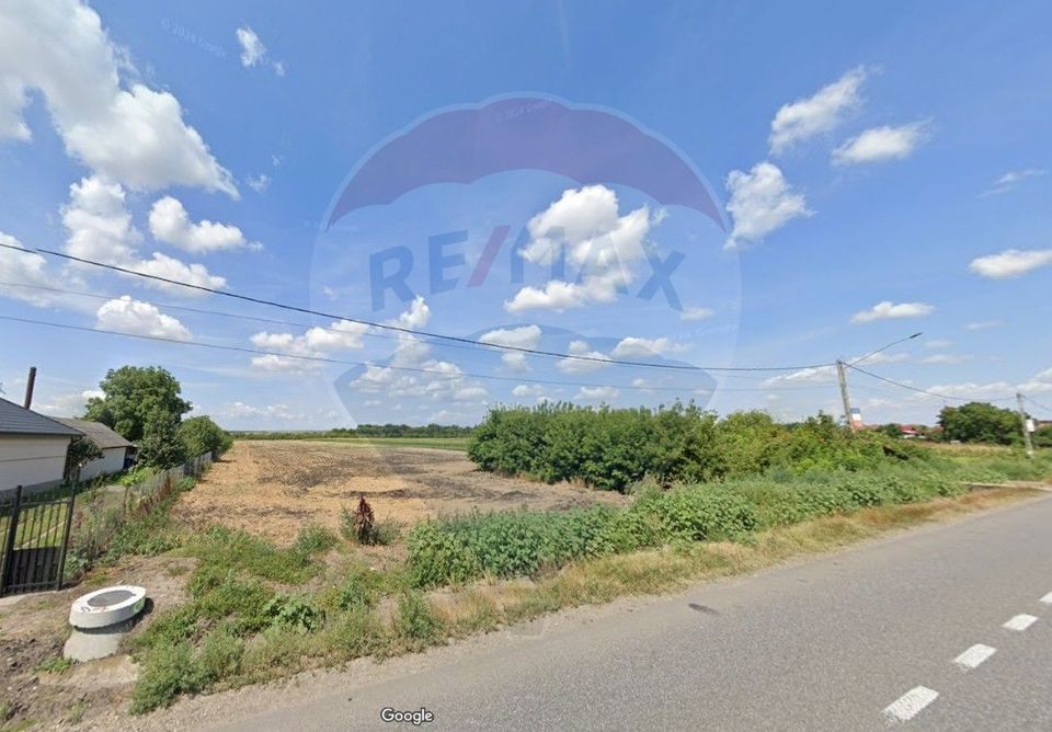 Land 19,100sqm Secuienii Noi / None
