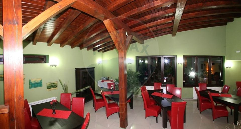 Hotel / Pension 4* with 18 rooms for sale in Baile Herculane