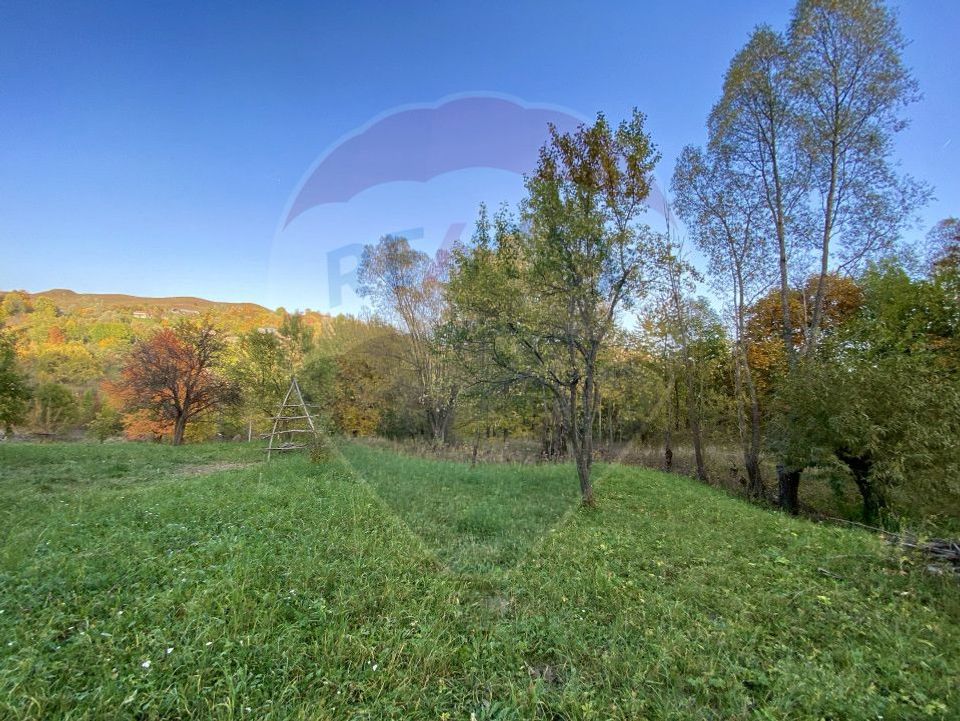 Land plot for sale Prahova -Secaria-Baiului Mountains