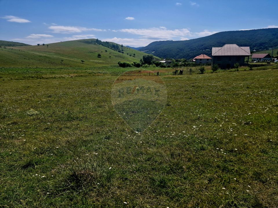 Land 5,000sqm Piatra-Neamt / Strada Punct Petruca