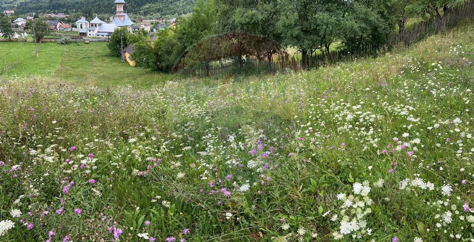 Teren 3,311mp Molid -Vama, Strada Stefan cel Mare, Suceava