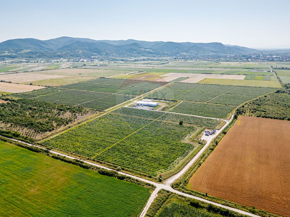 Land 27,720sqm Seini / Drumul E 58