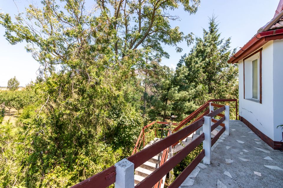 Casa+Laborator+ Teren 12.700 mp + casa de vacanta - Bolintin Vale