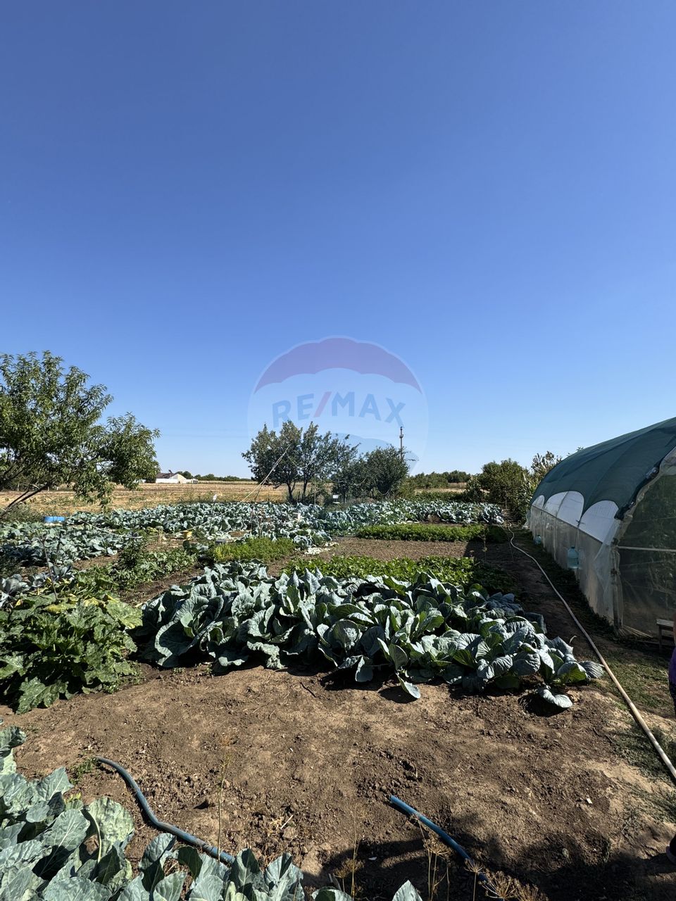 Casă de vânzare Fierbinți-Târg