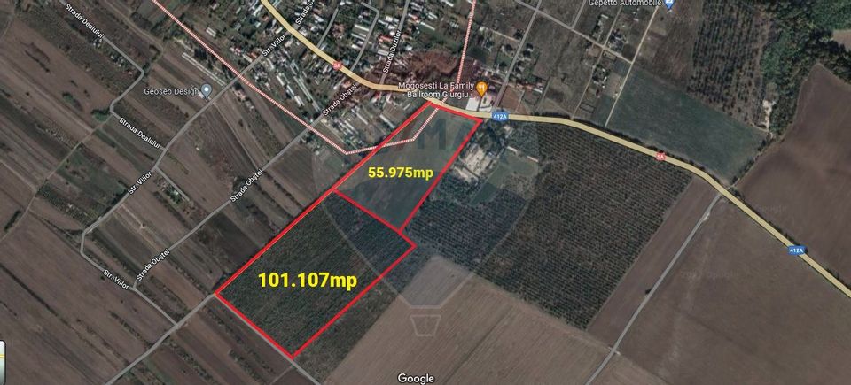 Land 55,975sqm Adunatii-Copaceni / DJ 412A