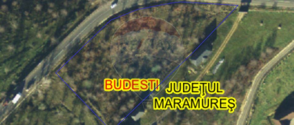 Land 5,040sqm Budesti / Strada Principala