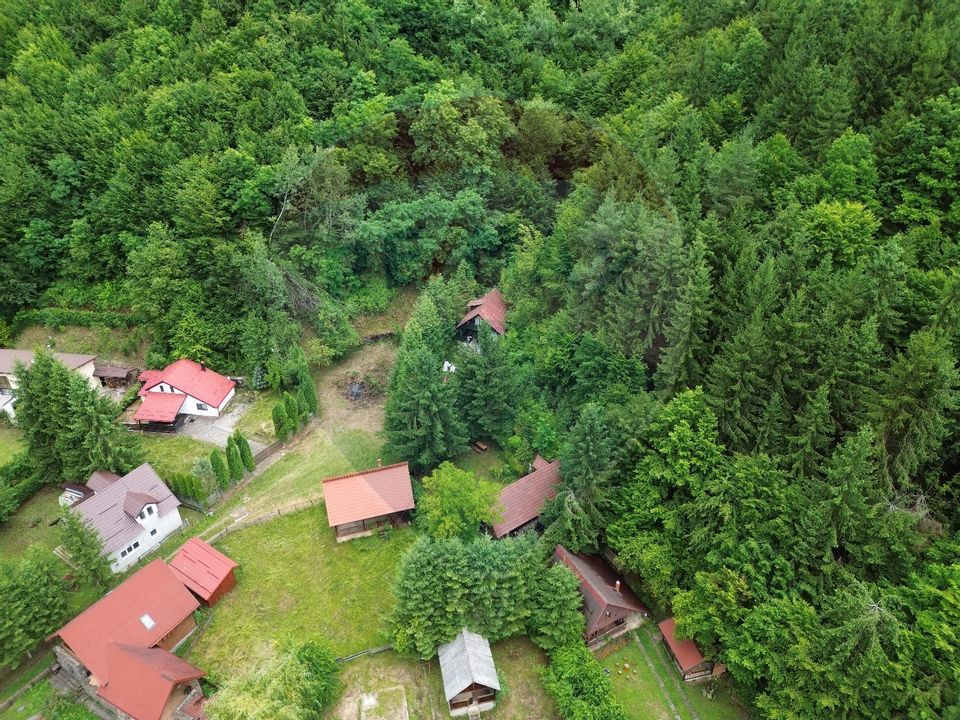 3 room House / Villa for sale, Firiza area